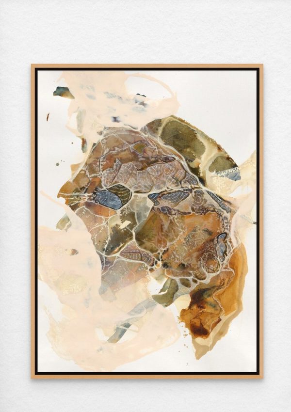 Seeing the World in a Tide Pool - Image 2